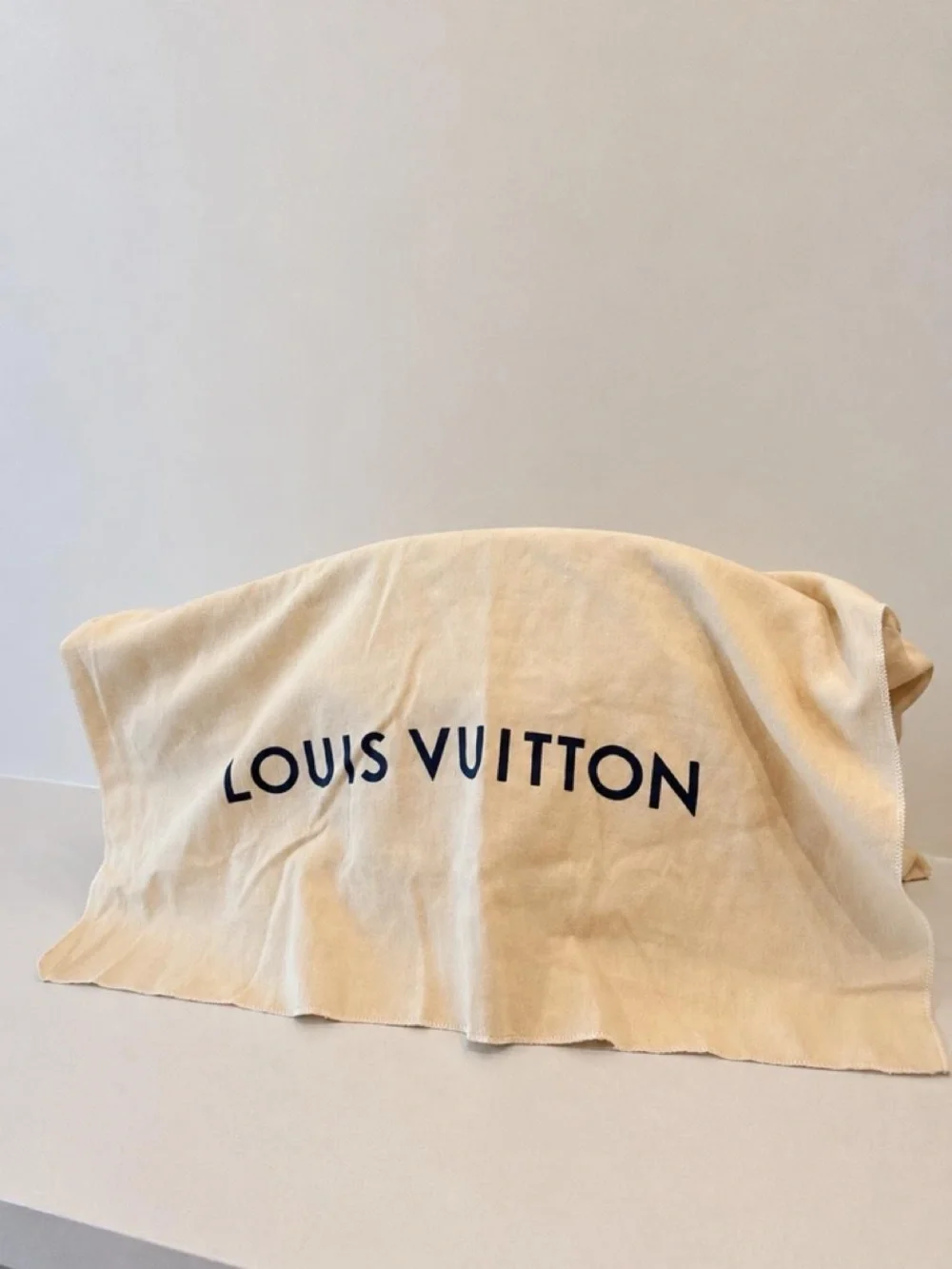 Louis Vuitton Monogram Canvas Satchel with Vachetta Trim